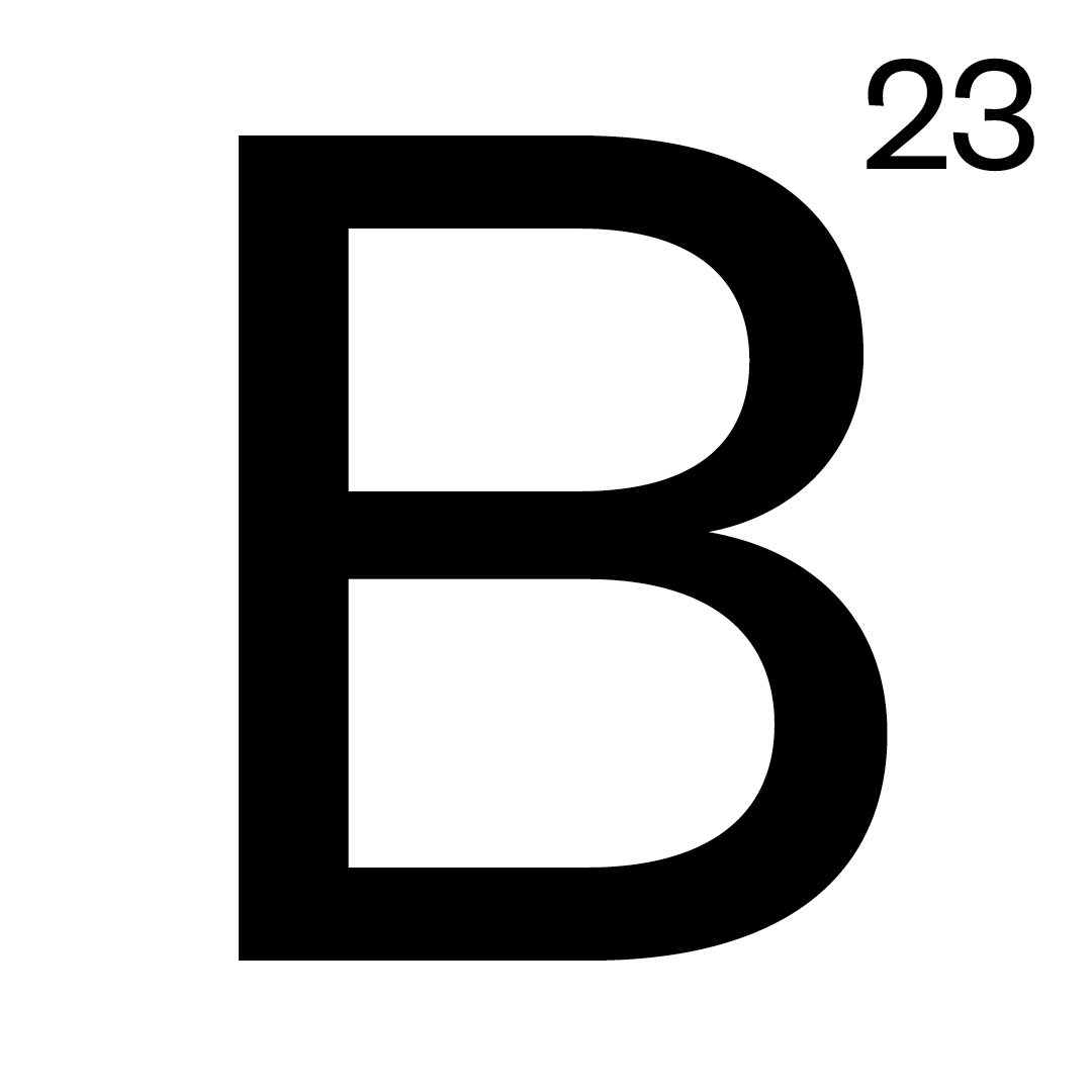 BIB 2023