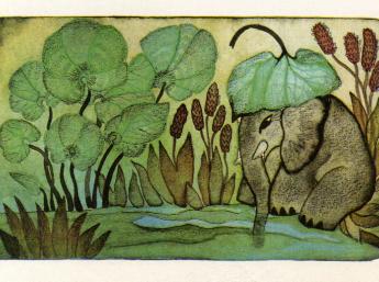 Natalija Poplavskaja Čamu u slonika dougi nos (Minsk : Chudožestvennaja literatura , 1974)