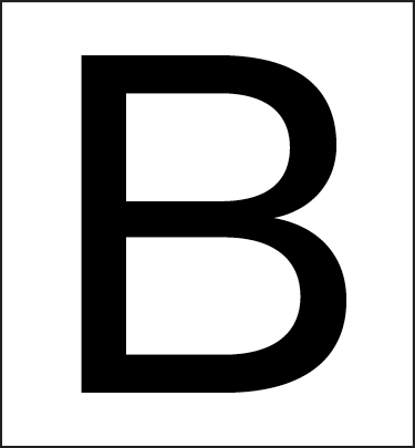BIB 2023